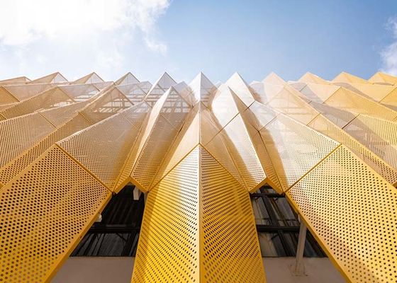 De geperforeerde Metaal combinatie van de de Bouwvoorgevel van functie en esthetica voor Architecturaal Voorgevelontwerp