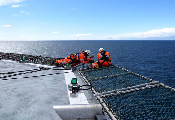 316L SS van de het Helikopterdekveiligheid van de Kettingsverbinding het Netsterkte Met grote trekspanning