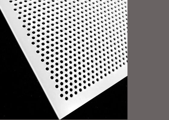 Witte PVC-plastic geperforeerde mesh-paneel voor de voedingsmiddelenindustrie