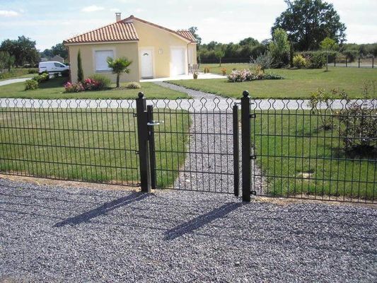 Prestige Mesh 868 Dubbeldraad hek 50 × 200mm Voor decoratieve