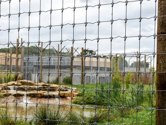 Hot Dip Galvaniseerde Draad Veld hek Hoogte 2m Hoogsterkte Geweven
