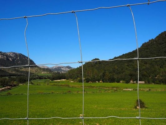 Hot Dip Galvaniseerde Draad Veld hek Hoogte 2m Hoogsterkte Geweven