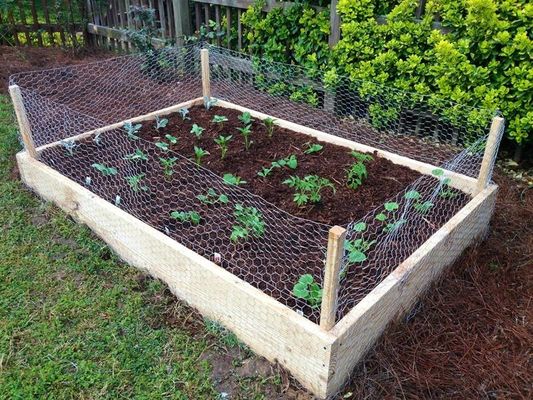 Gabions als tuin hekken functioneren als grens hekken of hekkooien