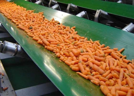 Groene PVC-transportbanddikte 2 - 13 mm
