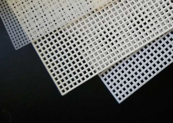 Economisch licht kunststof geperforeerd plaatplaat voor filterscheiding