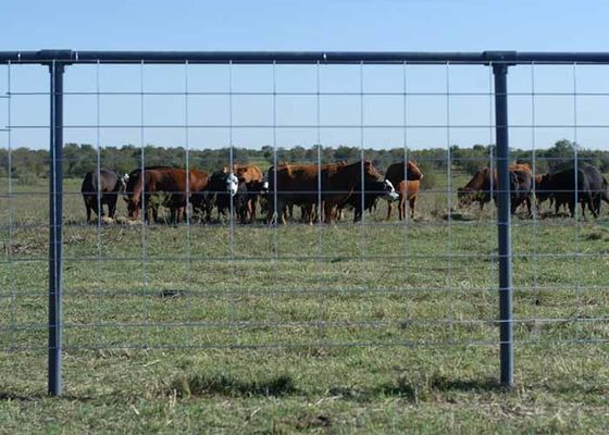 Gelast draad Vee hek Solid structuur Duurzaam