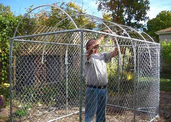 Chain Link Fence Prevents Pest And Birds From Accessing Greenhouse
