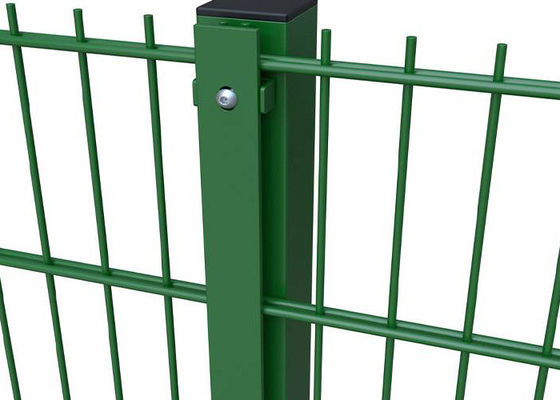 Dubbeldraad hek 3000 mm Breedte PVC bedekt 6/5/6 mm Draad